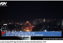 Hòa bình không thể được xây trên thành quả của xâm lược