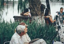 Đặt cục gạch: “Con sếu đầu đàn” sẽ đưa Việt Nam đi về đâu?