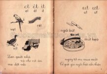 Sách giáo khoa: Họ đã độc quyền cả xuất bản lẫn in, phát hành