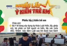 Hiến tạng: Đôi điều về cơ sở khoa học, pháp lý, đạo đức và hệ quả