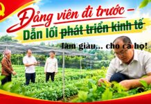 Đảng viên kinh doanh: Ranh giới nào ngăn quyền lực biến thành lợi nhuận?