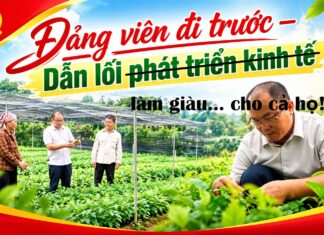 Đảng viên kinh doanh: Ranh giới nào ngăn quyền lực biến thành lợi nhuận?